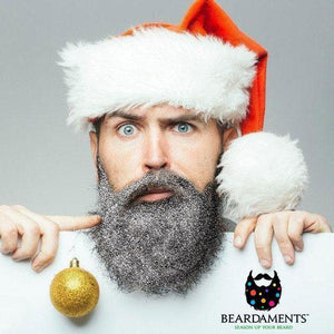 Beardaments Glitterbeard - Beard Glitter-Glitter Beard-Beardaments-Silver-Beardaments Beard Ornaments Glitter